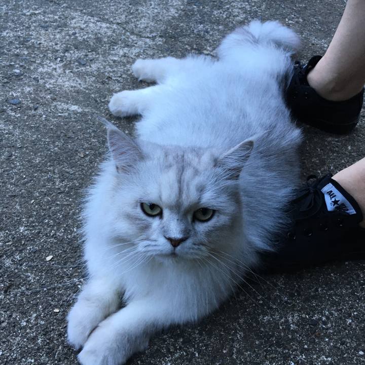 795031a0 0691 435d b527 6b205e34a41f