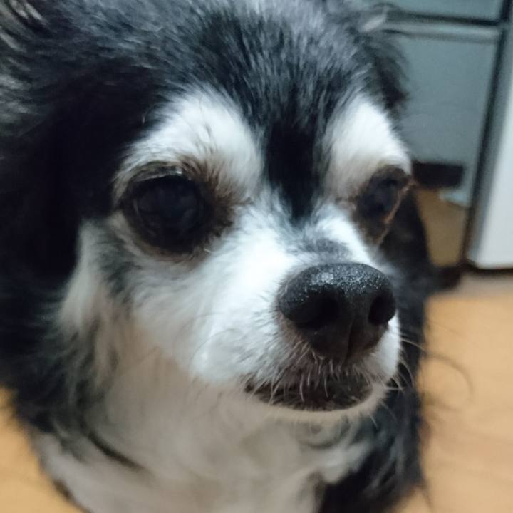 79503938 c785 4961 ad61 0d5fc5ce9896