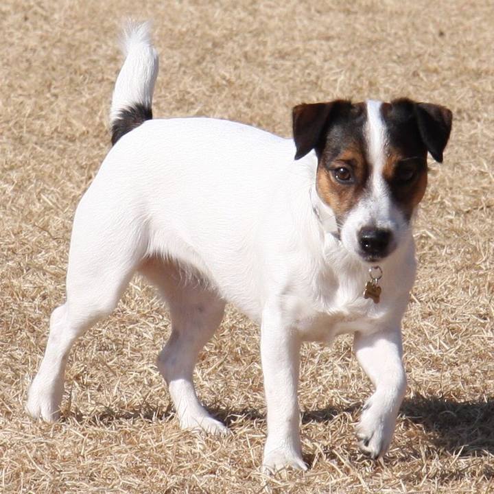 79504039 018c 4cae a8bb 730a252ae42f