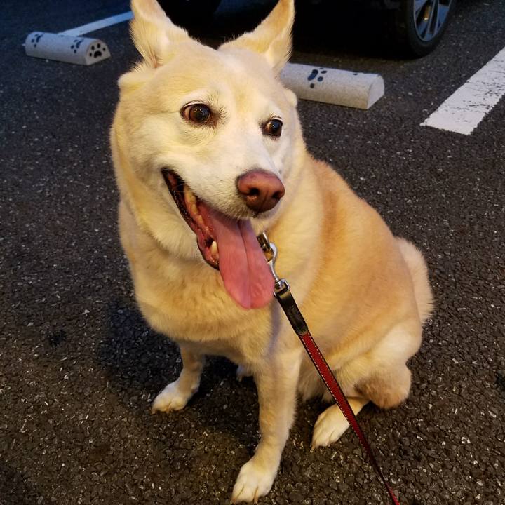 795054e8 aee5 4b81 99a9 8725b719b0d2