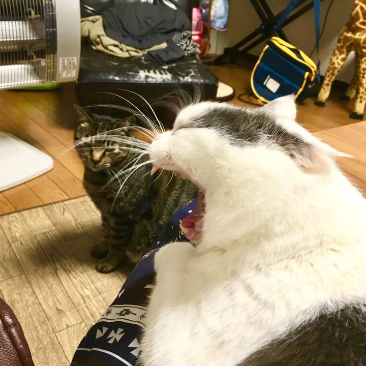 7950f7ad 8ec8 4d24 bdba ad0c3616a40e