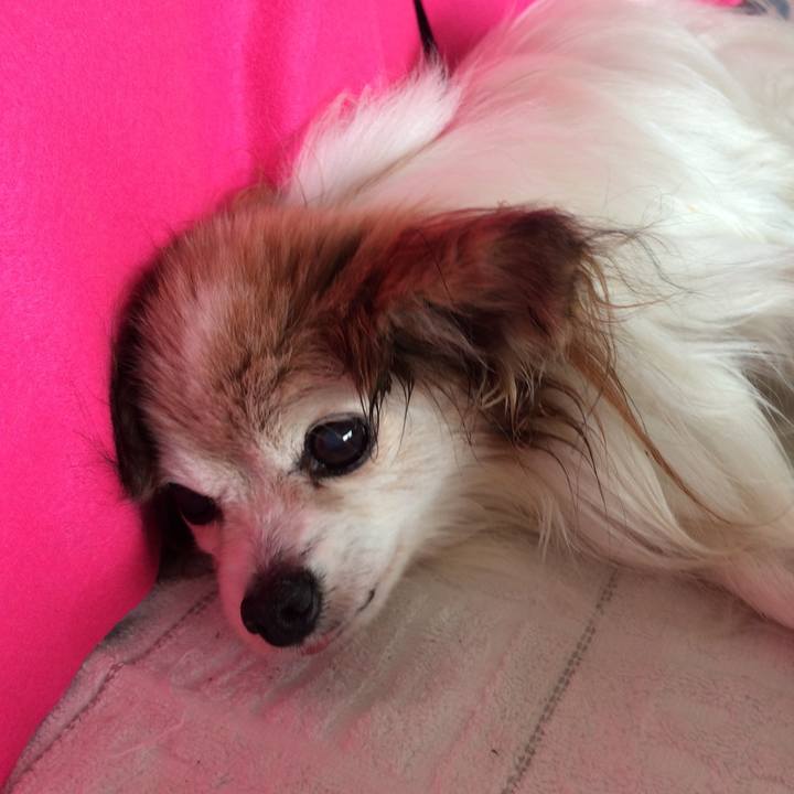 79510b95 9450 409f a3e1 edbd006c4743