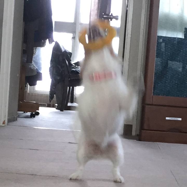 79527fc7 606e 4241 823f 4de29307cb40