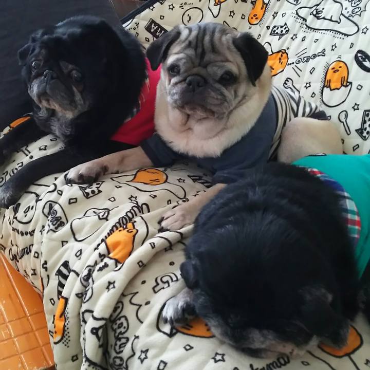 79534339 1921 4f6e bfba 71f952953323