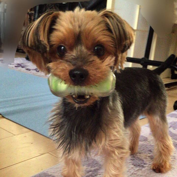 79535ca6 ea53 45ad b924 bdc1042e69eb