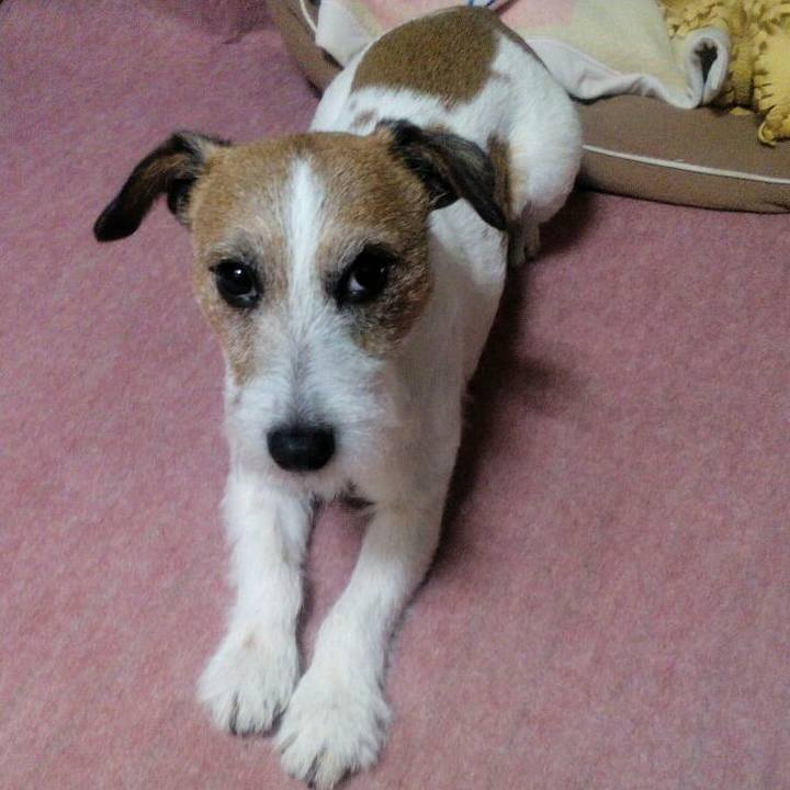 7954262b bb3a 4c8d b8bf 5df1767a8548