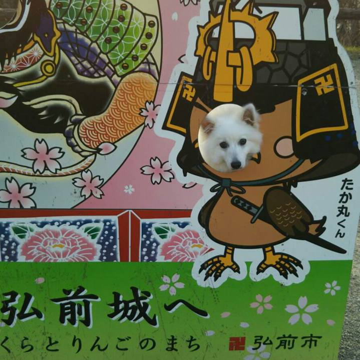 7955501c ffec 4a09 893f 55daa20600b6