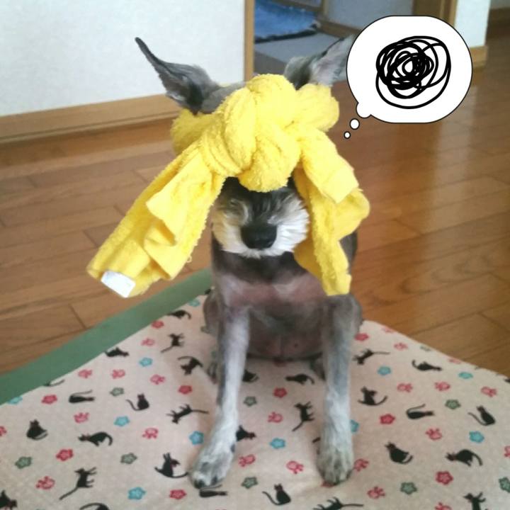 79558a75 69c3 408a a733 c4dfc1d925ec
