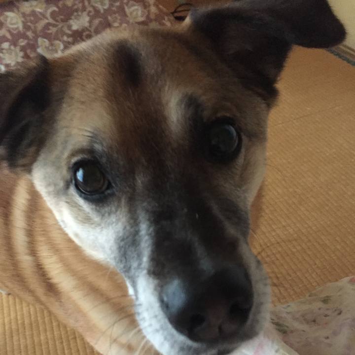 795616e6 1cb3 47c8 9e70 845240338cfc