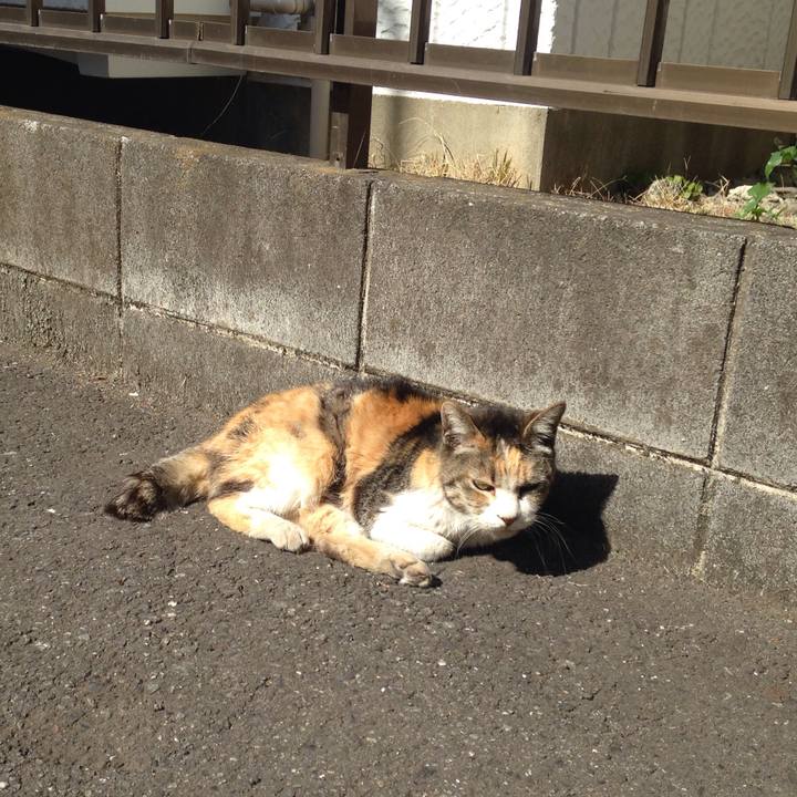 79563ffb 0f82 4c40 bb37 0c2e18f9462b