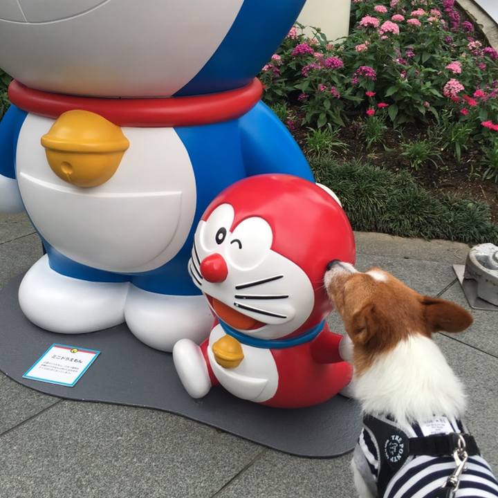 79577467 ebef 4f7f b337 694d2994d66b