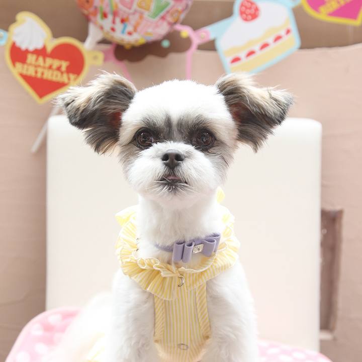 7957ef54 cb28 4b00 bfa8 fbc99d56a131