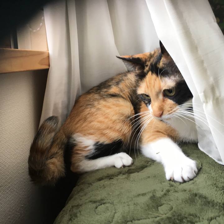 79581c6a a8f3 4152 850b 3883755bed4b