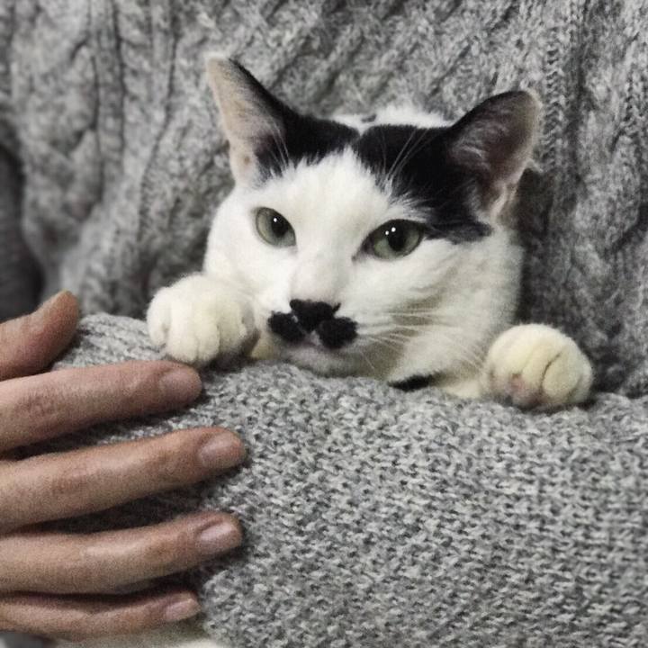 795855fb e831 4ae3 9837 f29edc64efce