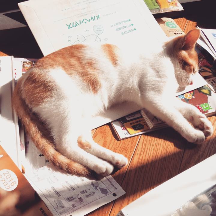 795867fa 9751 4bcc bb3e cdf9976cb905