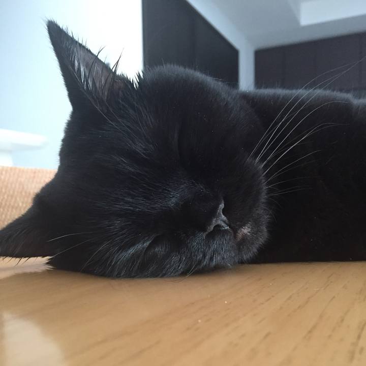 7958d76c 946e 4ef2 8071 c1452bef488c