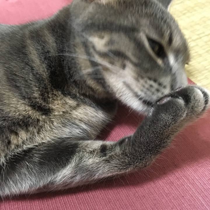 795a4bf7 e0fe 437f a08f 74e12ab5ba85