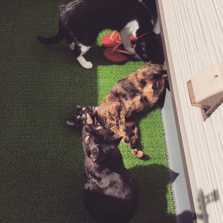 795a8e6d f413 4b9d a401 218f4a1b3be0