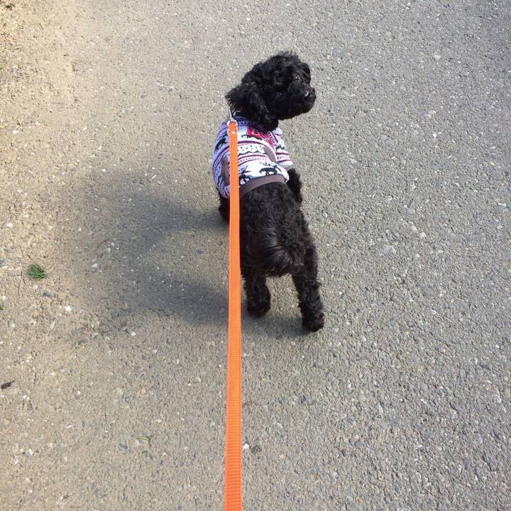 795a9170 81eb 4086 bef2 07bdfd9e141a