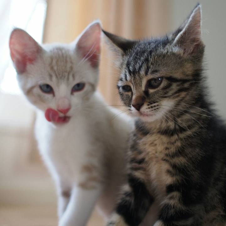 795a960b c4d2 4e0a 8671 8c59a89634da