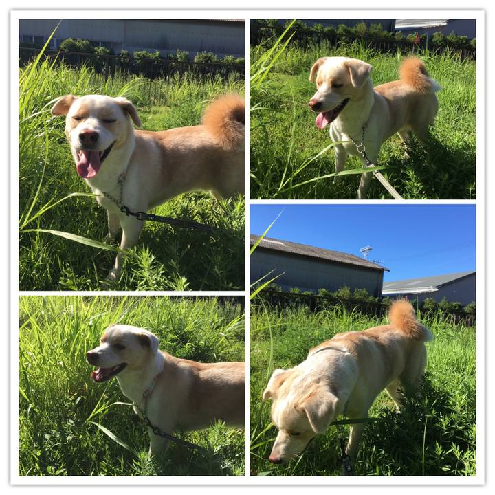 795ad2f9 49e7 49e6 b643 6297711eefb4