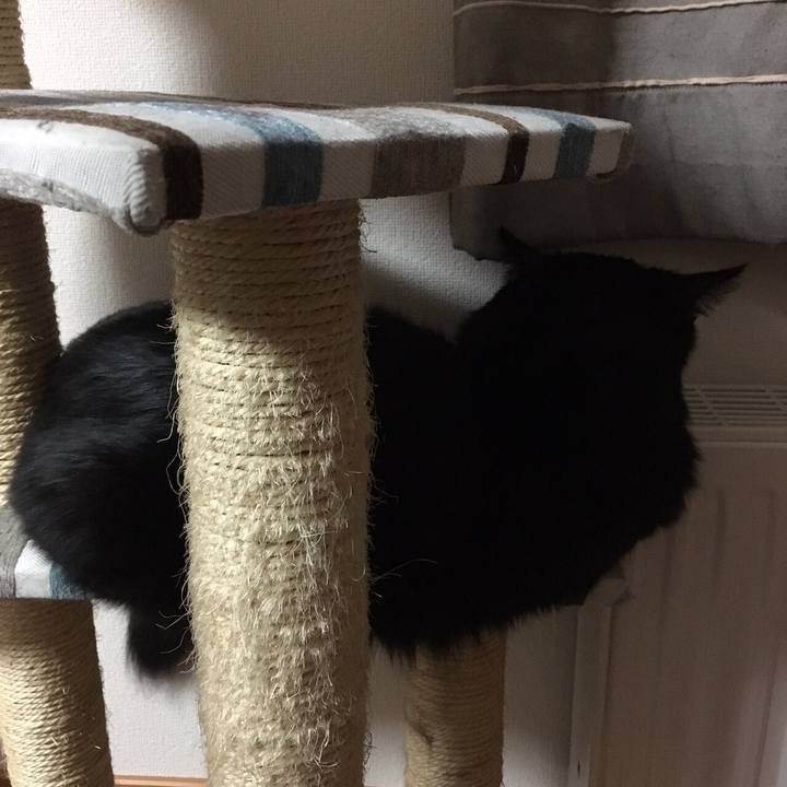 795ae16e 56f7 48cd 885d 124f426ff6e9