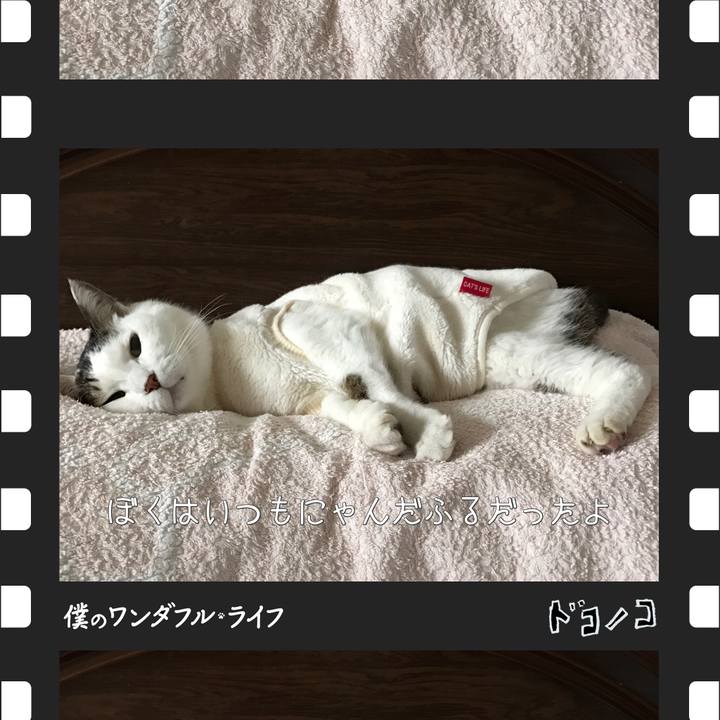 795ba94e 5dbf 46c3 9d60 f391f65748e2