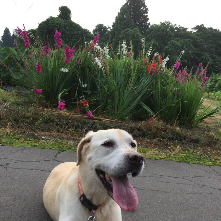 795c0b83 1a19 4afa a8f9 aba8979c13e7