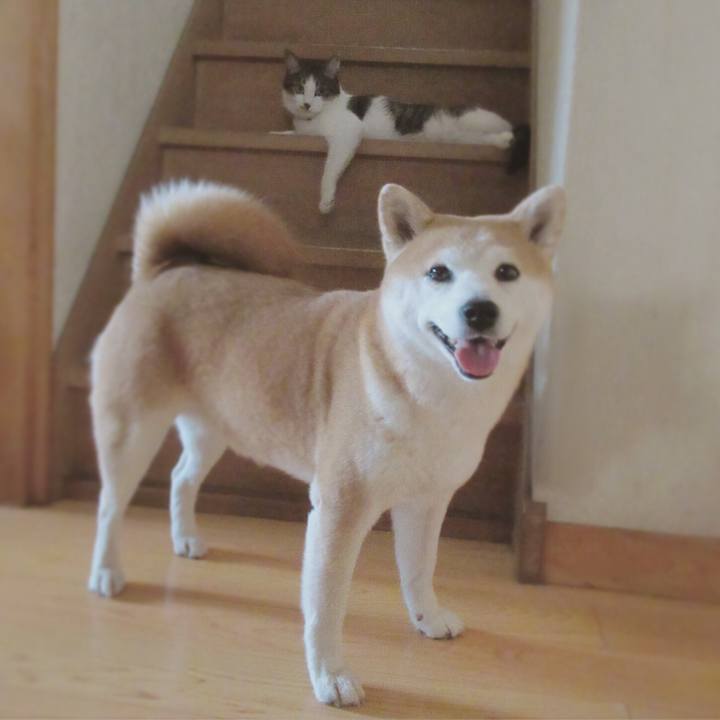 795ca76b 57f9 4bd1 8993 870932d1d45d