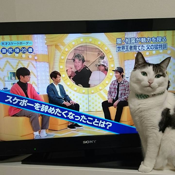 795cb2a2 6141 4a7c a993 6e9736cea82f