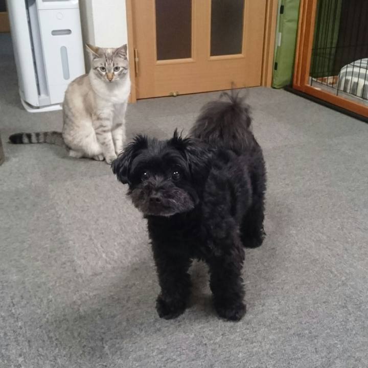 795d03fa fdae 4019 b07a 23bd784a56ff