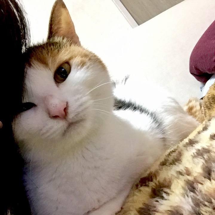 795f3664 d3ae 45cf b2b1 987901c5b9ae