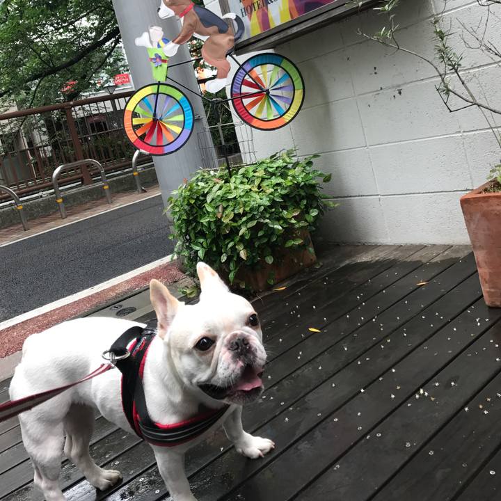 795f92fc 1596 408c a060 f338397a0ed6