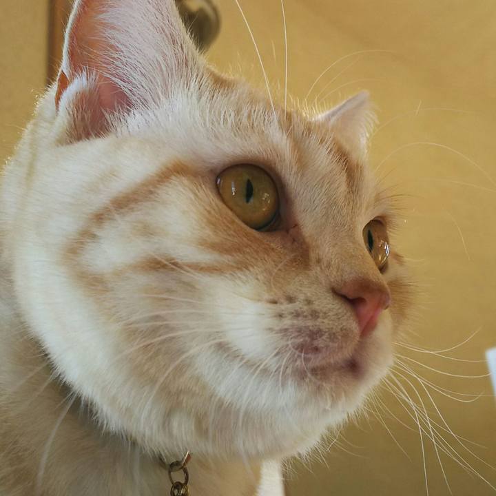 795fb3f6 dff1 4294 a98a d3be07fd2ea0