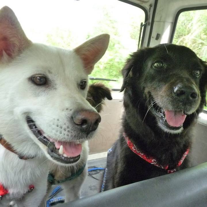 795fe6b1 8a29 41f7 a932 1763b87800f5