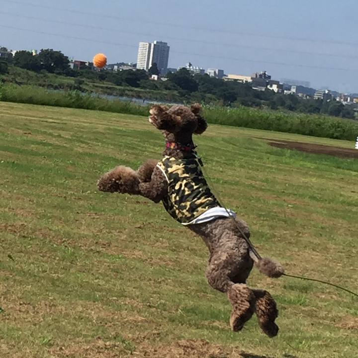 79604687 90f2 4077 9dc3 677656cb8029