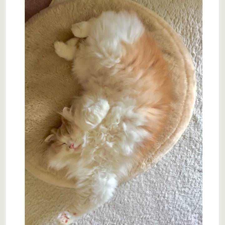 79604d71 2010 4f82 91bd ae7e5f67bf46