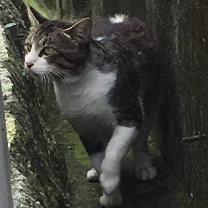 7960c07d 71d2 4aeb af3a bc7328124122