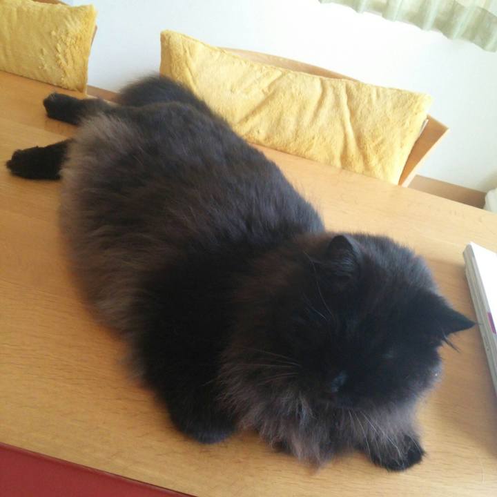 7960d0b7 5bf4 4a84 b7cc 4433767bece5