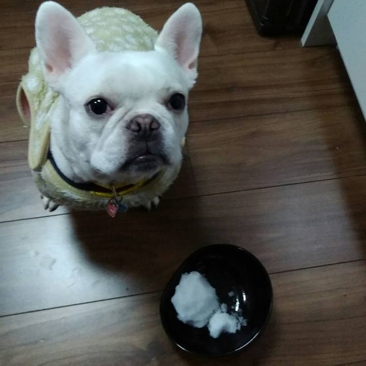 7961ba46 9e06 4fb4 8ed1 523a579c568a