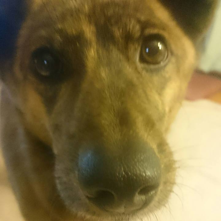 7961ff70 e7e9 4f6c 8cec 383542bfb22a