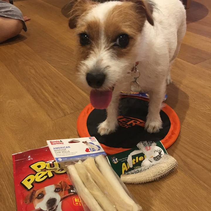 7962eaba 1306 4305 b6c2 74e345243c4a