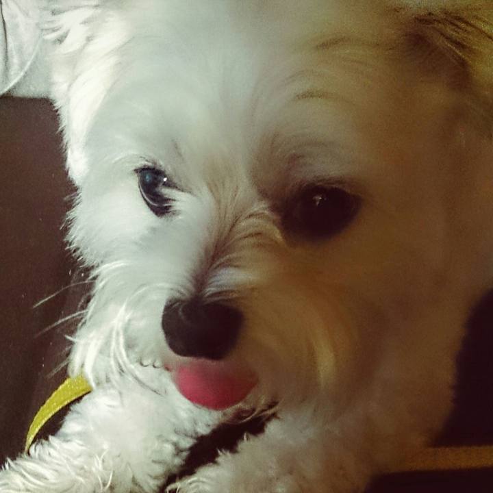 7962ec28 3e98 4480 b8df 2b296cfa5987