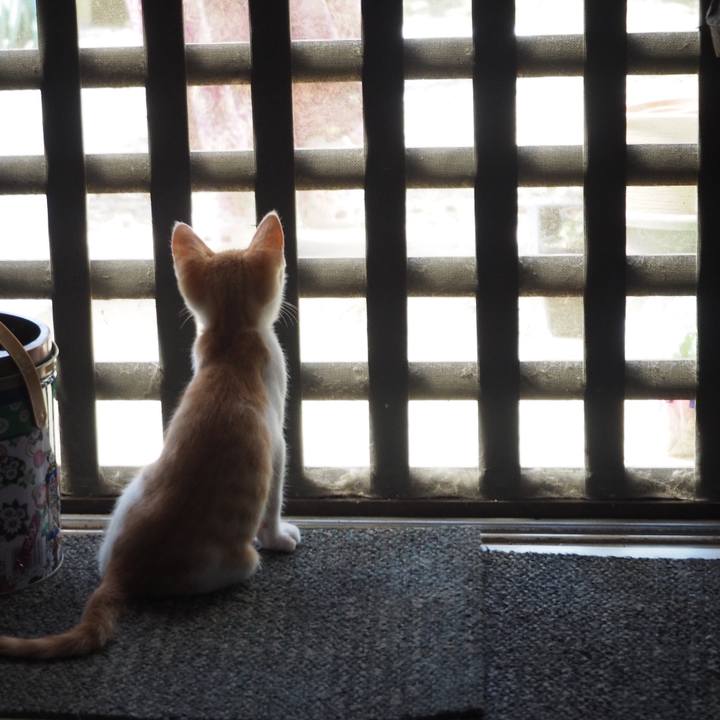 79635014 8623 4fa4 aa49 5064317a6071