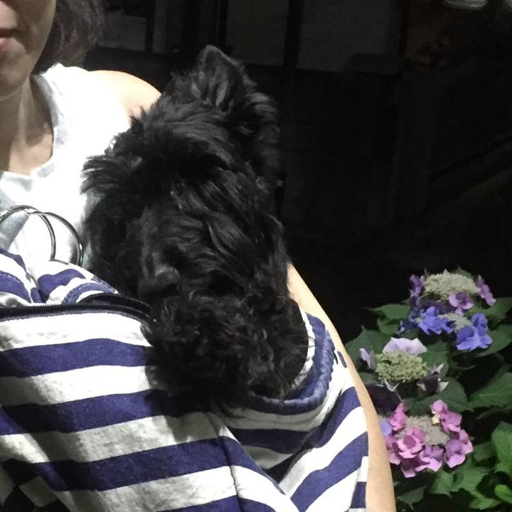 7963a2d0 8e9e 4245 ae34 7c3740956ff3