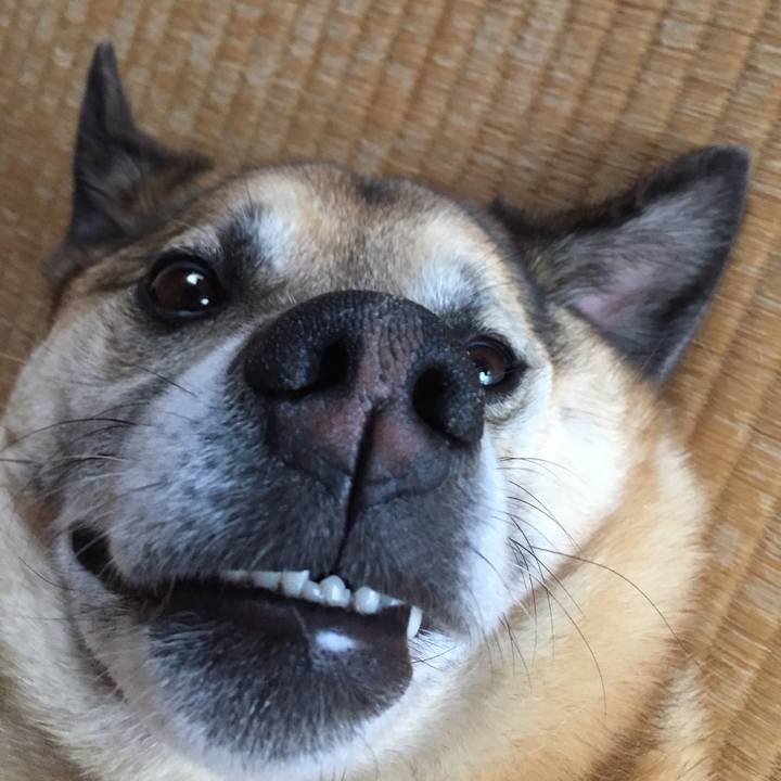 7963e688 473b 4267 b4da 74bd0179068f