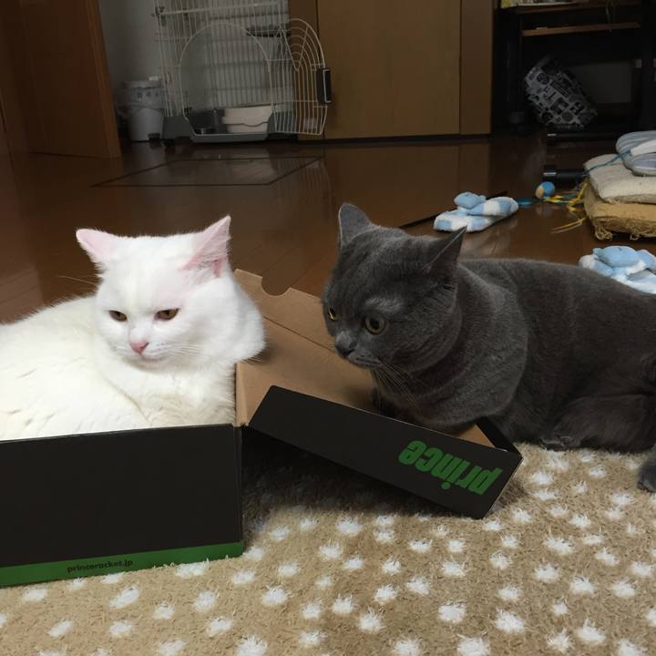 796453f8 f36b 422b 9fbc e68a44d2a985