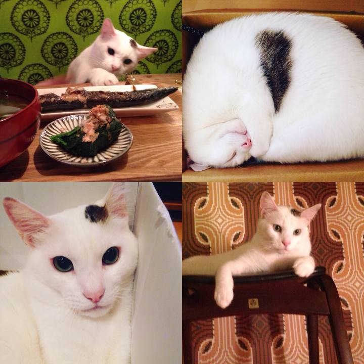 79647859 479f 4e96 b998 f12cabac9a27