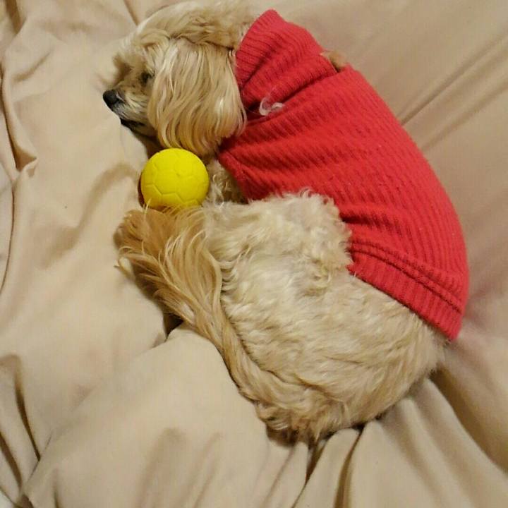 79648ea8 c915 4e1a a58c f6ba16ec9862