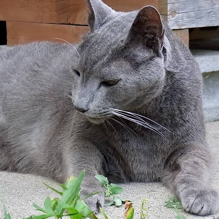 79652e43 b5d2 4b3e be1b 85ab5de7a1f9